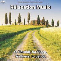 Relaxation Music, Pt. 26 - Relaxing Music for Cats & Yoga & Relaxing Spa Music