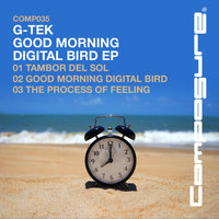 The Process Of Feeling - G-Tek