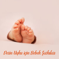 Uyuyor Musun? - Doğanın Müziği
