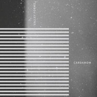Shadows in the Ocean - Cardamom