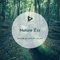 Corral - Nature Sounds by Lullify & Relaxing Music Therapy