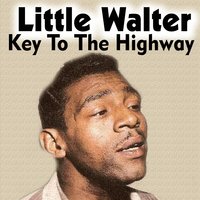 I Hate to See You Go - Little Walter