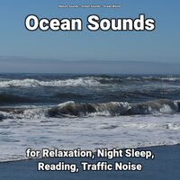 Meditation - Nature Sounds & Ocean Sounds & Ocean Waves