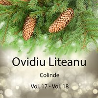 Seara sfântă - Ovidiu Liteanu