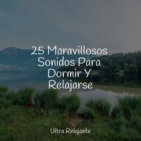 La Tranquilidad Del Campo - Canciones de Cuna Relax & Canciones de Cuna 101 & Piano para Dormir