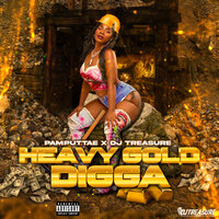Heavy Gold Digga Remix [Sped Up] - Pamputtae & Dj Treasure