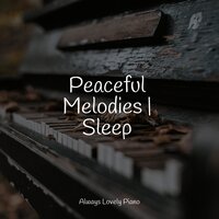 Reflections by the Lake - Romantic Music Experience & Simply Piano & Musica Relajante Para Estudiar