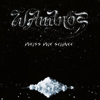 Geteiltes Leid - Wolfgang Ambros