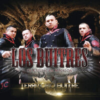Terreno Protegido - Los Buitres De Culiacán Sinaloa & Angel Romero