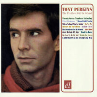 This Time The Dream's On Me - Tony Perkins