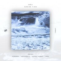 Surging Tides - Skoll & Messiahwaits