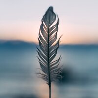 A Light Touch - Mother Nature FX & Mother Nature Sound FX & Namaste Yoga
