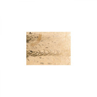 Years and Self talk - Mindfulness Healing BGM Project
