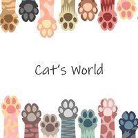 Relaxed Cat - Cats Music Zone