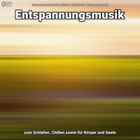 Entspannungsmusik Teil 47 - Entspannungsmusik Malena Stickler & Schlafmusik & Entspannungsmusik