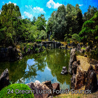 Небесное Вознесение - Relaxing With Sounds of Nature and Spa Music Natural White Noise Sound Therapy