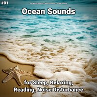 Ocean Sounds Pt. 31 - Sea Waves Sounds & Nature Sounds & Ocean Sounds