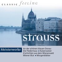 Unter Donner und Blitz, Op. 324 - Strauss-Orchester Wien & Joseph Francek & Иоганн Штраус-сын