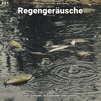 Regengeräusche, pt. 87 - Clemens Gesel & Rain Sounds & Nature Sounds