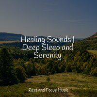 Even Is the Mist - Asian Zen Spa Music Meditation & Amazing Spa Music & Ambiente