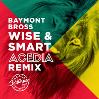 Wise And Smart - Baymont Bross & Acedia