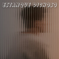 Estanque Dichoso - Musica para ambientar la casa
