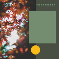 Superlative Backdrops for Daily Unwinding - Study Music Deluxe