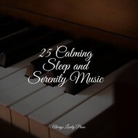 Magic Mountain Symphony - Relaxar Piano Musicas Coleção & Relajante Música de Piano Oasis & Classical Study Music