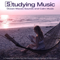 Soothing Studying Music - Reading and Studying Music & Study Music & Focus and Work