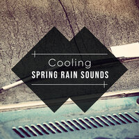 Rain Falling in Buckets - Ambient Forest, Rain Sounds ACE, Elements of Nature & Ambient Forest & Rain Sounds ACE & Elements of Nature