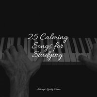 Passing Flame - Piano for Studying & Piano Music & Piano Relajante