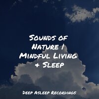Simply Bliss - Lullabies for Deep Meditation & Meditacao Clube & Life Sounds Nature
