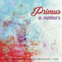Tommy the Cat - Primus