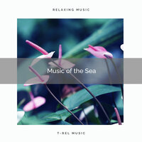 Sea Sounds with Nature Sounds for Extreme Relax pt. 2 - Baltic Nature Sounds