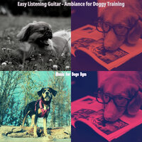 Funky Moods for Calming Dogs - Music for Dogs Bgm