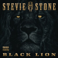 Jungle - Stevie Stone & king iso