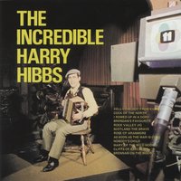 Rock Valley Jig - Harry Hibbs