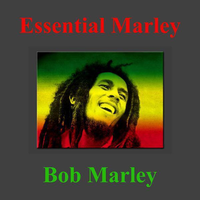 Lively Up Yourself - Bob Marley & The Wailers
