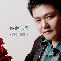 你走以后 - 田磊