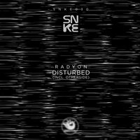 Disturbed - Radyon