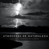 La Naturaleza Es Buena - Sonidos De Agua & Música Instrumental Maestro & Flor de Loto