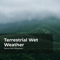 Forest Heavy Rain - Rain Recorders & Rainfall & Nature Rain Relaxation