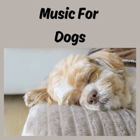 Sigh of Relief - Music for Dogs & Music for Dogs Peace & Relaxing Puppy Music & Calm Pets Music Academy