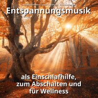 Instrumentalmusik gegen Stress - Entspannungsmusik Paul Esgen & Schlafmusik & Entspannungsmusik