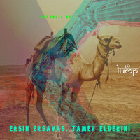 I Can Hear - Ersin Ersavaş & Tamer ElDerini
