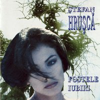 Trecerea Prin Anotimpuri - Stefan Hrusca