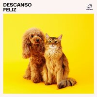Música para Animais de Estimação Idosos - Música Para Cachorro & Música Relaxante para Cachorros & Música Calmante para Animais & Música de Fundo para Cães