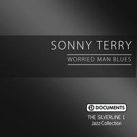 Blowing the Blues - Sonny Terry