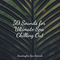 Stress Removal - Study Music & Sounds & Academia de Música para Massagem e Relaxamento & Thunder Storm
