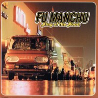Weird Beard - Fu Manchu